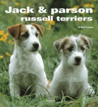 jack-et-parson-russell-terrier